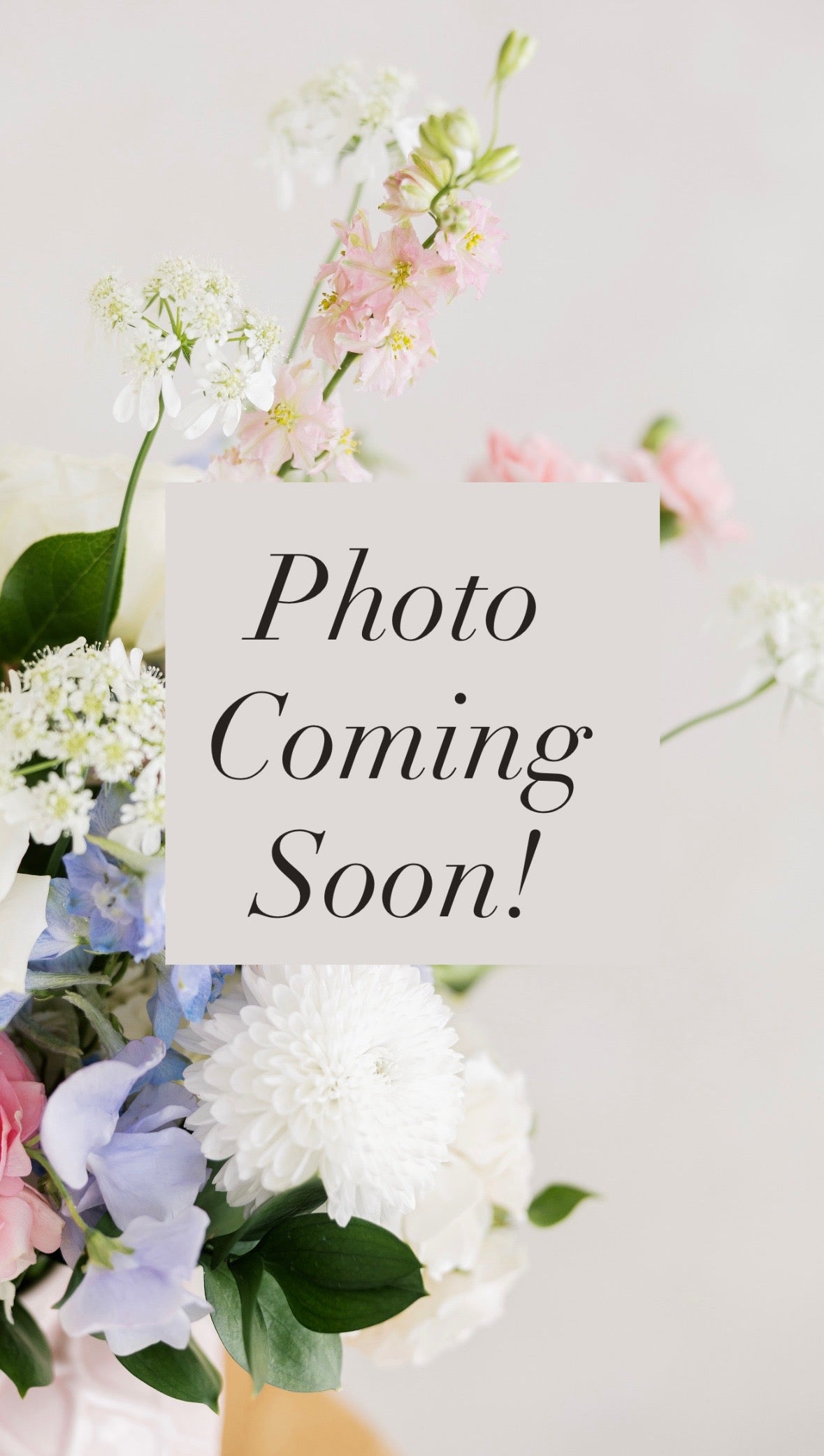 Premium Standing Spray | Designer’s Choice